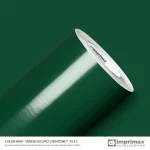 Color+max+ VERDE ESCURO